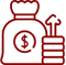 Public finance management